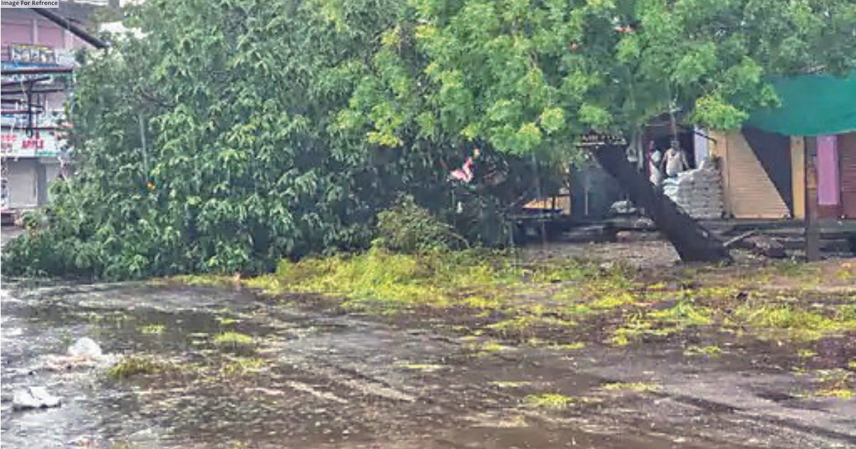 Cyclone Biparjoy: Flood-like situation in Rajasthan's three districts after heavy rainfall